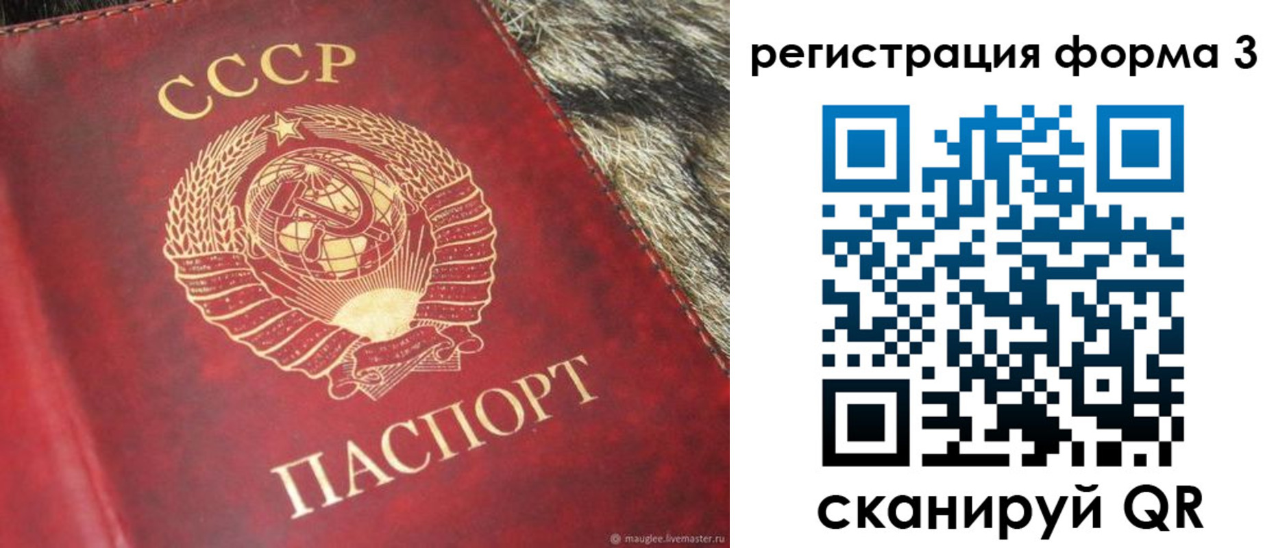 прописка регистрация в Палласовке